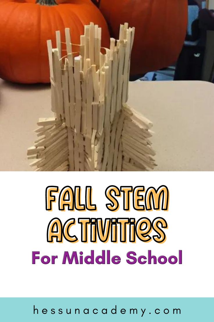 October Crafts Middle School, Stem Projects For Middle School, Steam Ideas Middle School, Outdoor Stem Activities Middle School, Autumn Stem Activities For Kids, Homeschool Activities Middle School, Stem Activity Middle School, Stem For Middle School Activities, Middle School Fall Activities