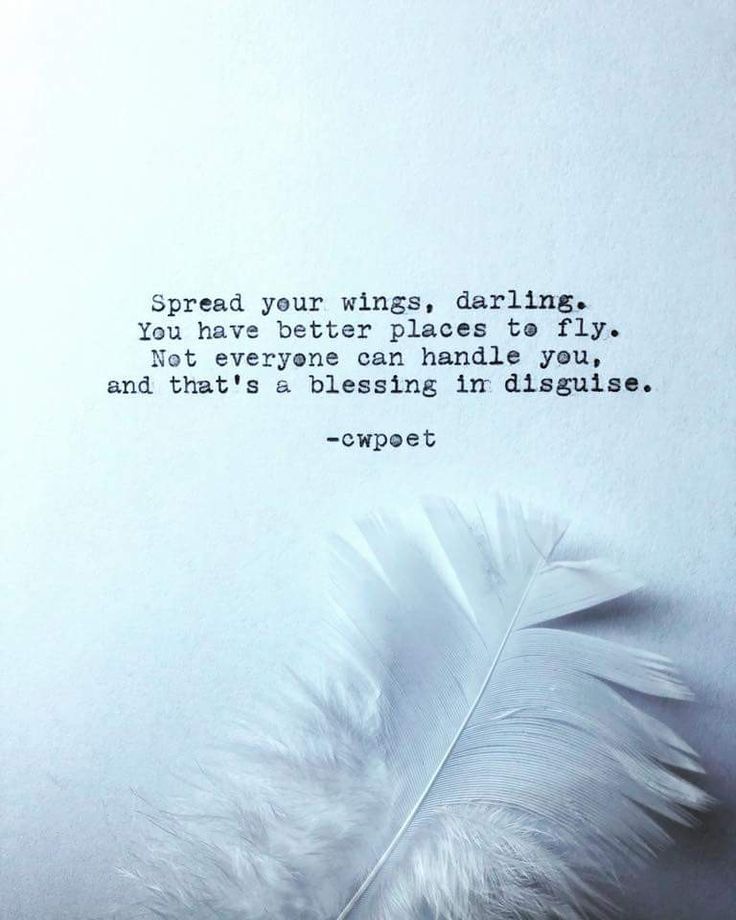 a white feather sitting on top of a piece of paper with a quote above it