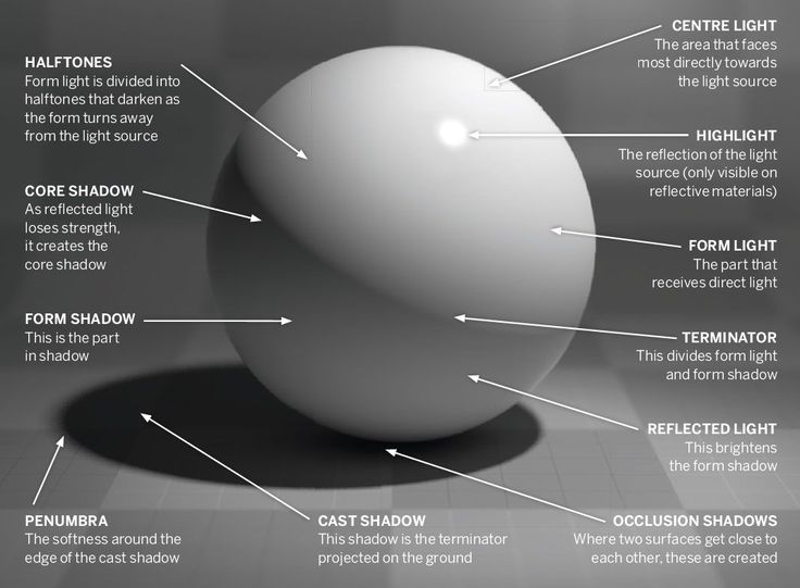 an image of a white ball with the names and features labeled in it on a gray background