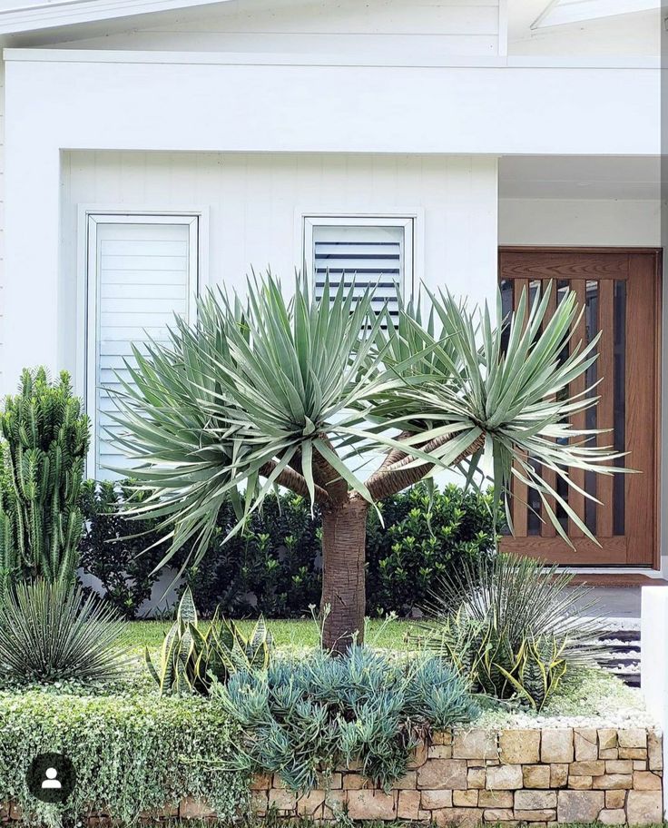 a palm tree in front of a house