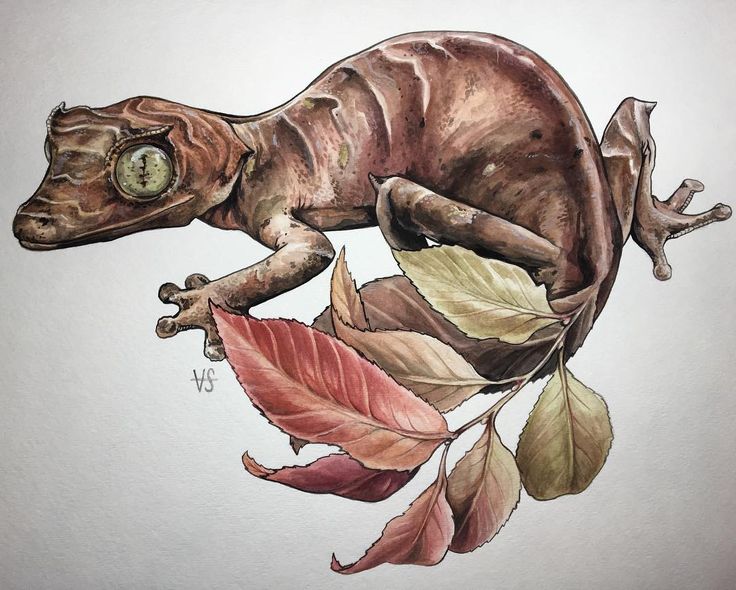 a drawing of a chamelon sitting on top of leaves