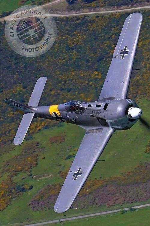 an air plane flying over a lush green hillside covered in yellow and orange flowers,