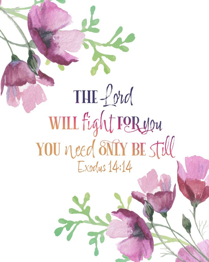 the Lord will fight for you.  You need only be still Exodus 14:14 God Comfort Quotes, Praying For You, Faith Bible Verses, Inspirational Christian Quotes, Bible Quotes Background, Bible Verse Background, Bible Words Images, Bible Quotes Images, Bible Study Verses