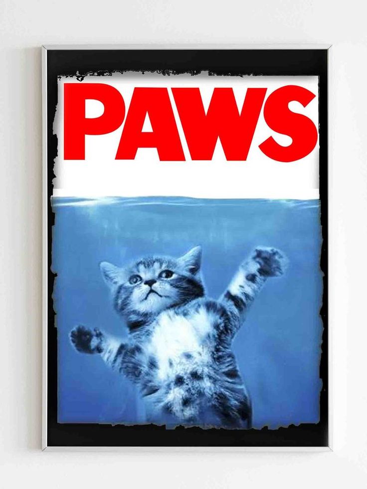 Paws Jaws Movie Kitten Kitty Cat Poster Glitter Heat Transfer Vinyl, Iron On Letters, Tshirt Pillow, Diy Vinyl, Shirt Pillow, Htv Vinyl, Cat Graphic, Iron On Vinyl, Vinyl Fabric