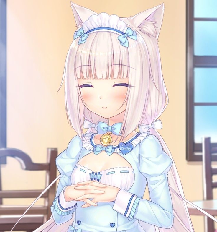 Vanilla from Nekopara Vanilla Nekopara, Tomorrow Is Another Day, I Believe In Pink, Scary Art, Cartoon Jokes, Anime Eyes, Kawaii Girl, Cat Girl, An Anime