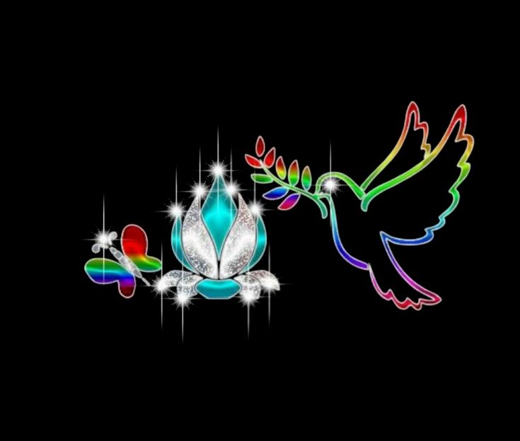 two colorful birds flying next to each other on a black background with stars and sparkles