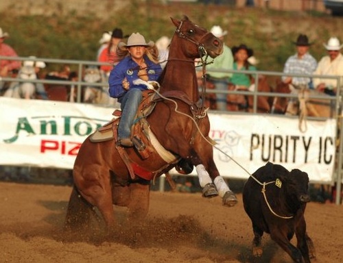 a woman riding on the back of a brown horse next to a black cow in an arena