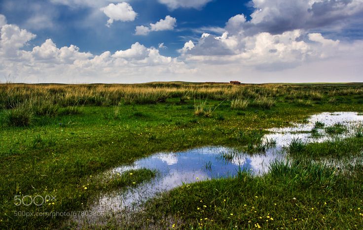 a grassy field with water and clouds in the sky