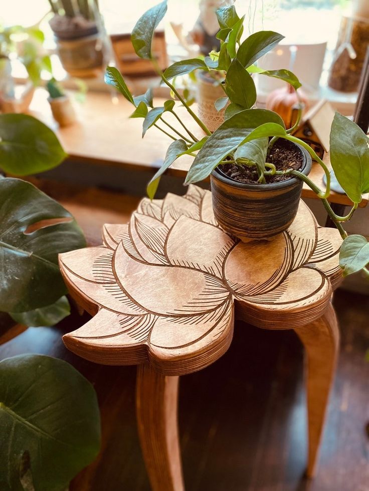 a potted plant sitting on top of a wooden table