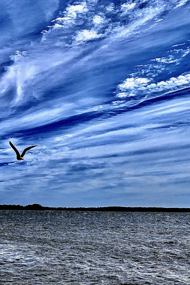 a seagull flying over the ocean under a cloudy blue sky with white clouds