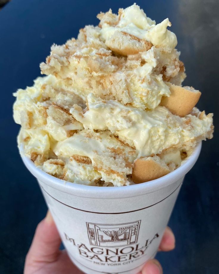 a hand holding a cup filled with ice cream