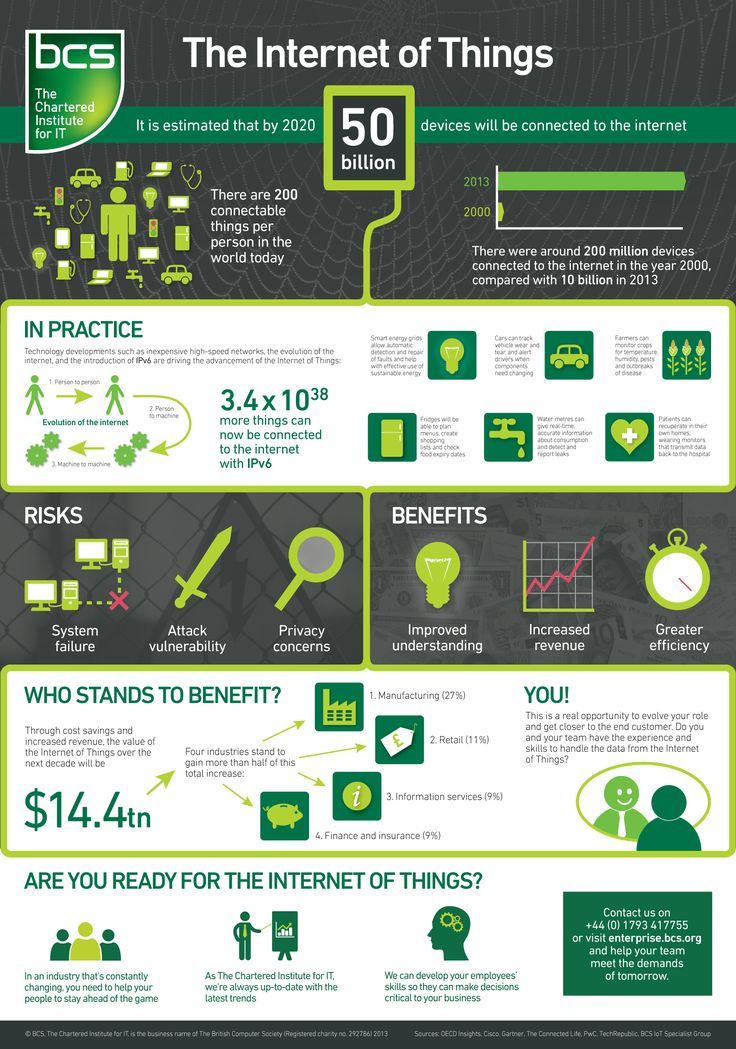 the internet info sheet is shown in green and black, with information about what it looks like