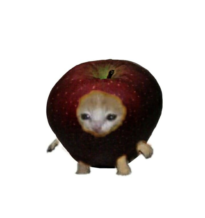 an apple with a cat in the middle of it's body and eyes on its side