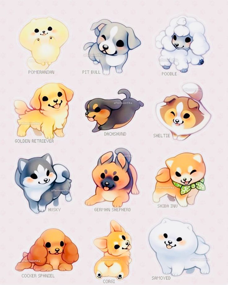 a bunch of small dogs with different colors and sizes on their faces, all in different positions