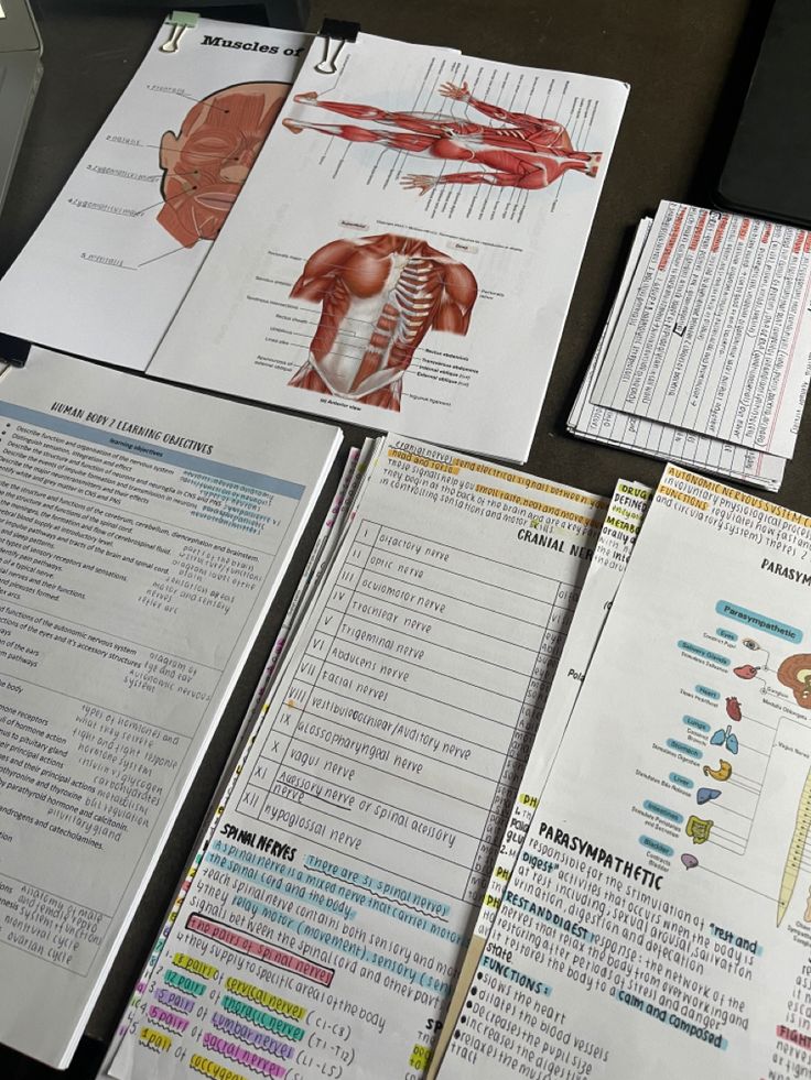 the contents of an exercise book are laid out on a table with instructions and diagrams