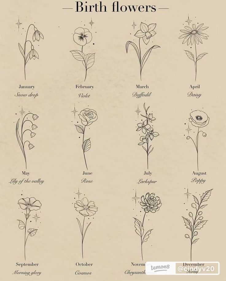 the different types of birth flowers are shown in this drawing technique, which is easy to draw