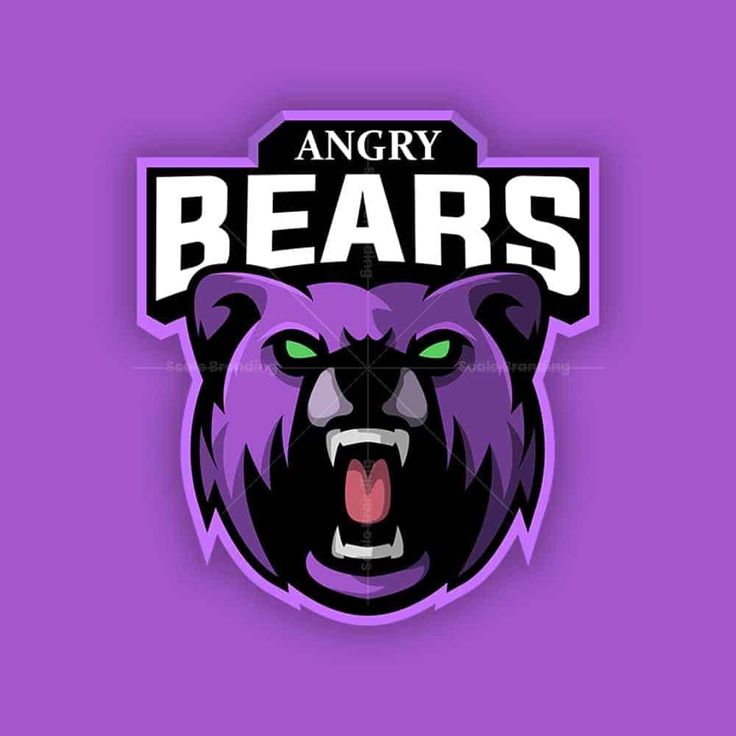 the angry bears logo on a purple background