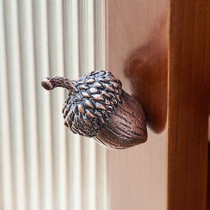 a close up of a door handle on a wooden door with an owl figurine