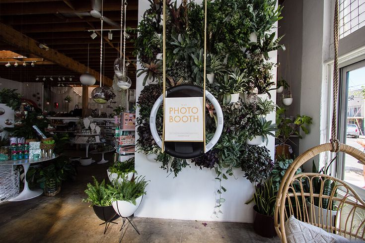 the interior of a flower shop with hanging plants