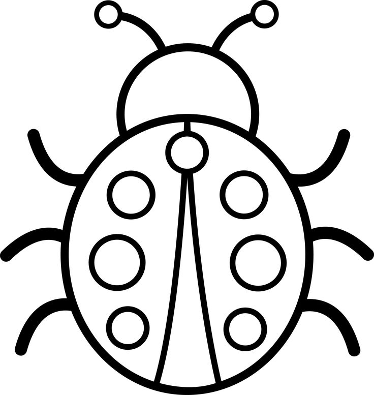 a black and white drawing of a ladybug with dots on it's body