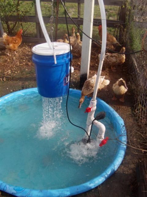 a little boy is playing in the pool with his toys and water hoses as ducks look on