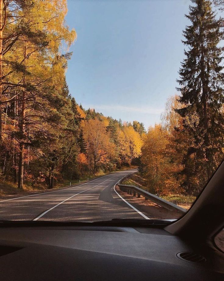 a car driving down a road surrounded by trees in the fall season with yellow and orange leaves