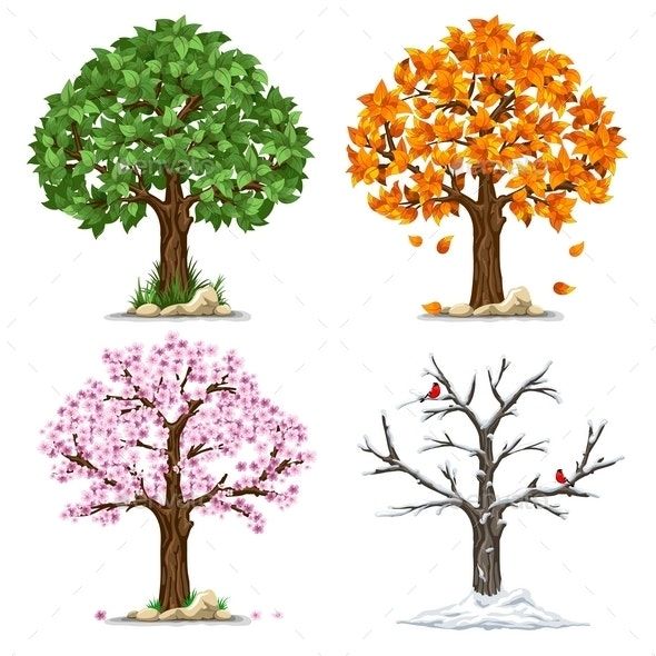 four different trees with leaves and flowers in the fall, winter, or spring season