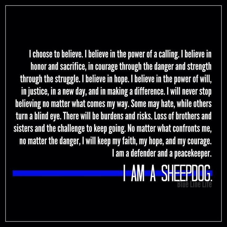 i am a sheepdog quote on black background with blue line in the middle and white letters