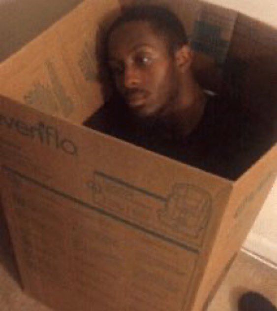 a man in a cardboard box looking at the camera