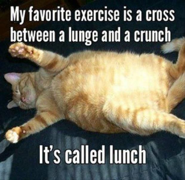 an orange cat laying on top of a black couch next to a caption that reads, my favorite exercise is a cross between a lunge and a crunch it's called lunch