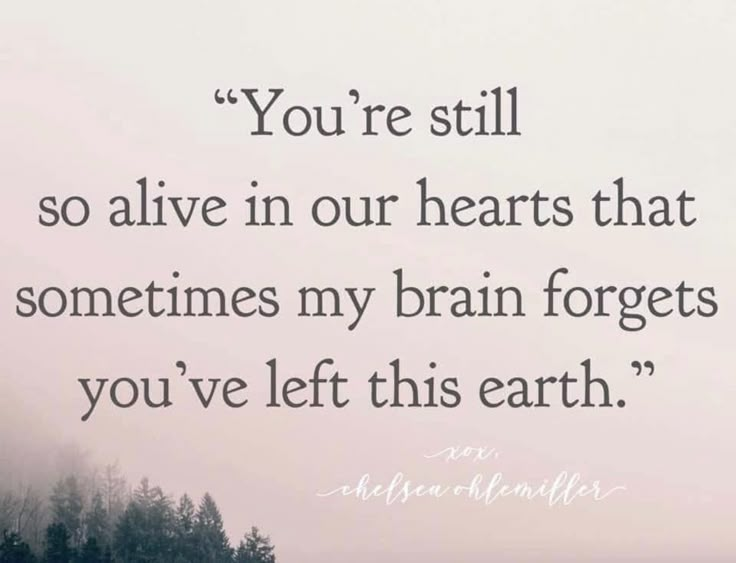 the quote you're still so alive in our hearts that sometimes my brain forgets you've left this earth