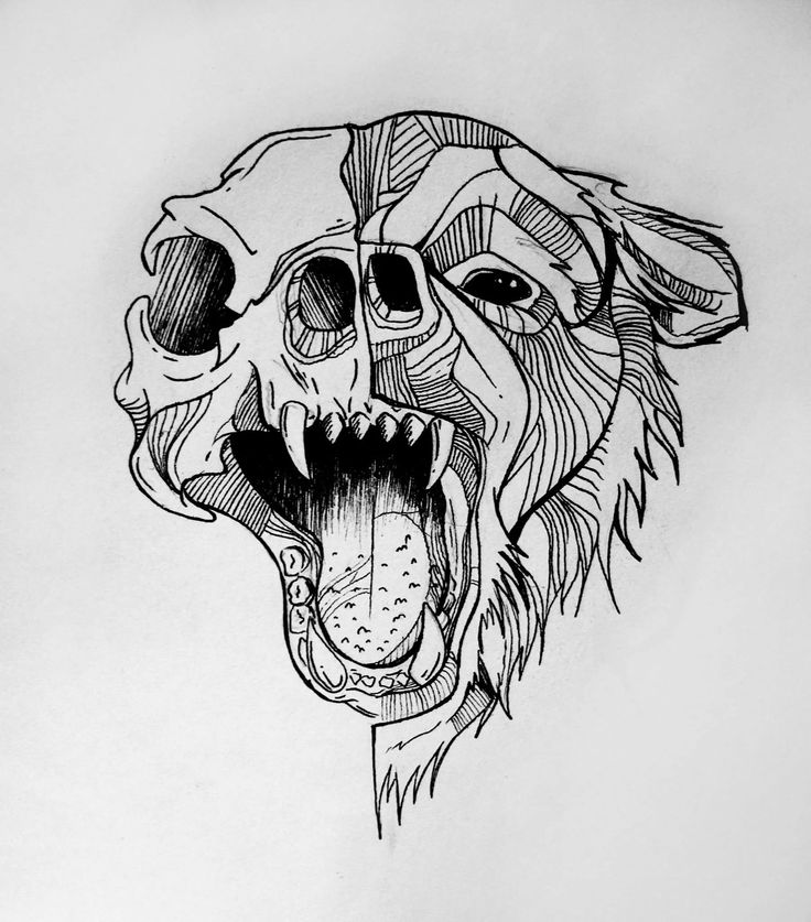 a drawing of a dog with its mouth open