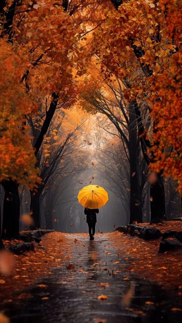 a person with an umbrella walks down a path in the fall leaves, surrounded by trees