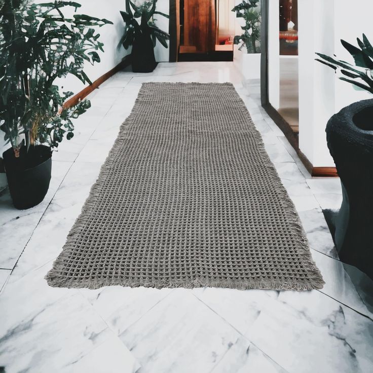 a rug is on the floor next to potted plants