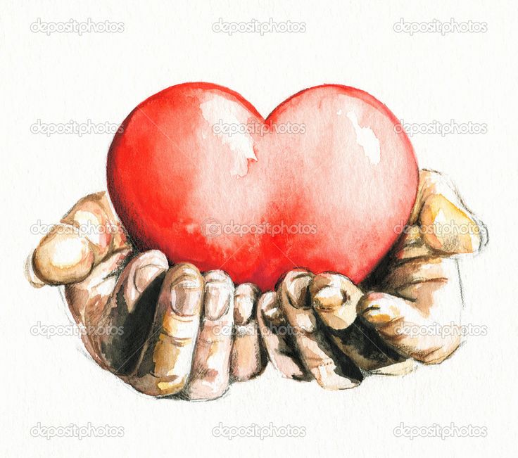 a drawing of two hands holding a red heart in their palms, against a white background