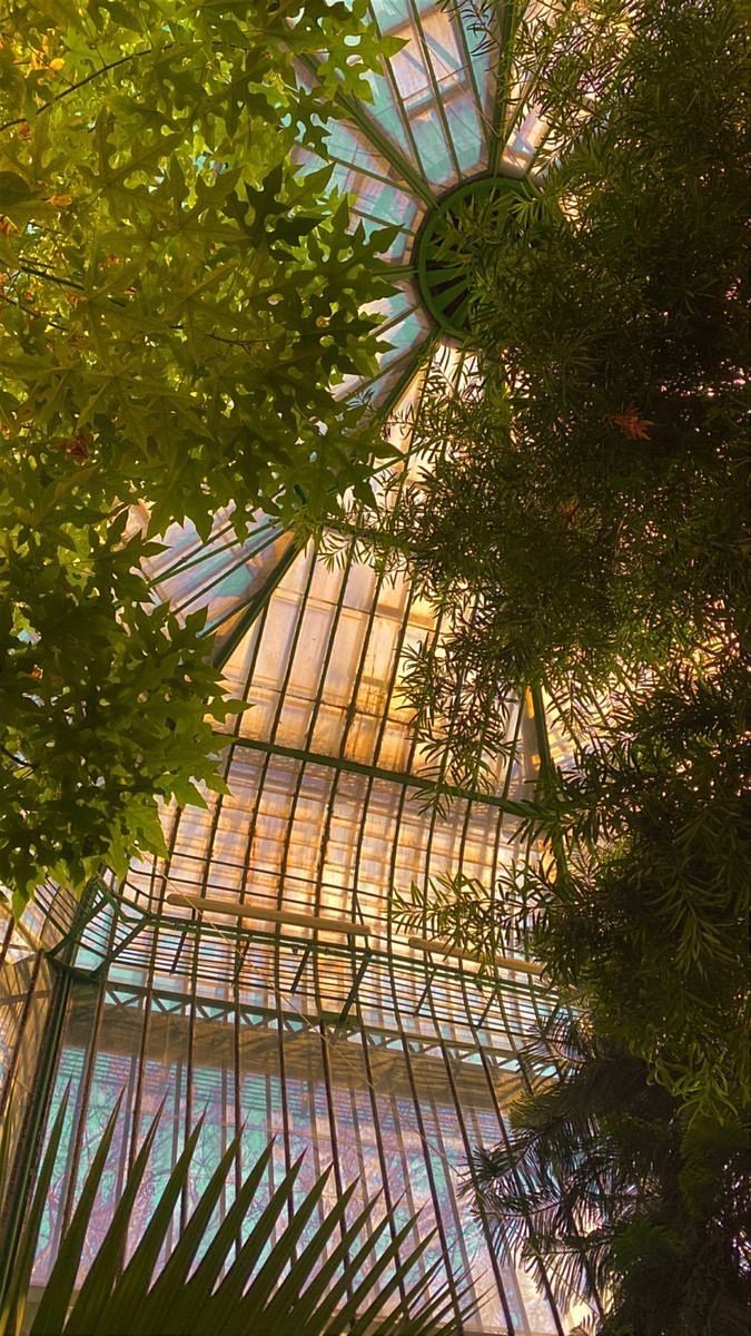 the inside of a building with trees and plants