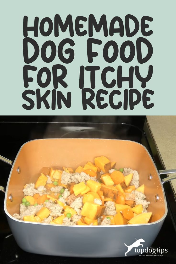 Recipe: Homemade Dog Food for Itchy Skin Dog Food Recipes Crockpot, Foods Dogs Can Eat, Pet Treats Recipes, Dog Treats Homemade Easy, Painting Front Porch, Easy Dog Treat Recipes, Diy Dog Food, Make Dog Food, Dog Biscuit Recipes