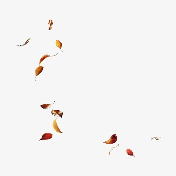 the leaves are flying in the air on a white background