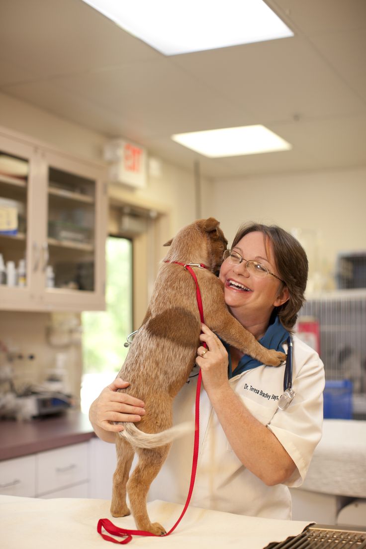 a woman holding a dog in her arms while wearing a lab coat and stethoscope