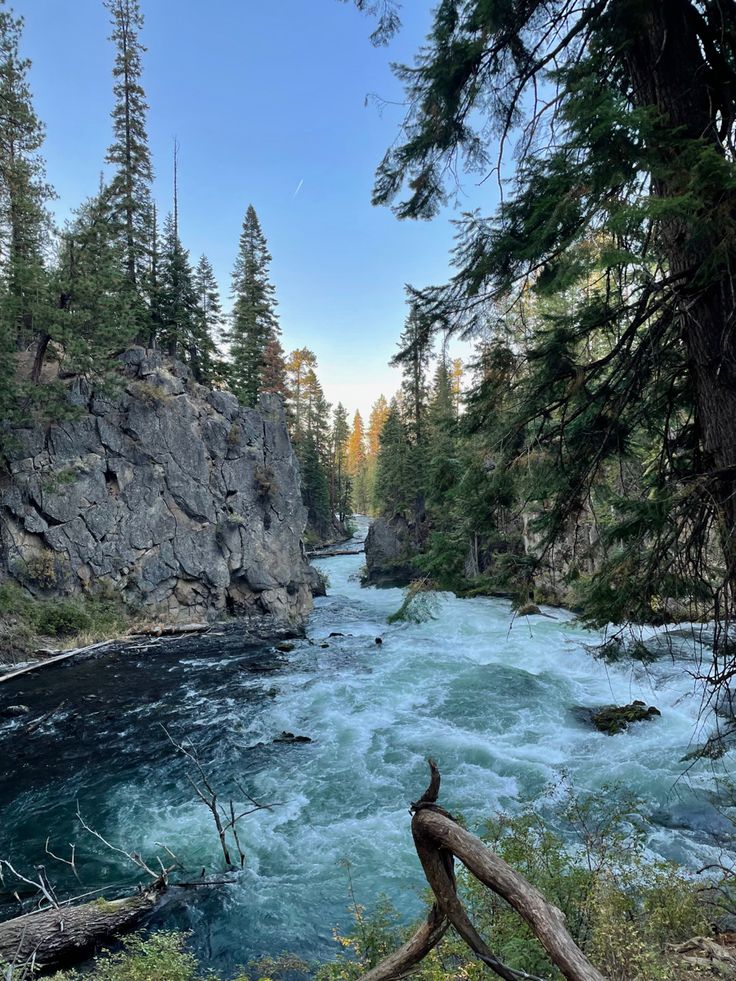 a river running through a forest filled with lots of rocks and trees on either side