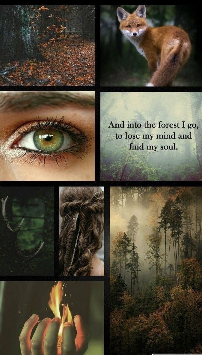 a collage of pictures with an image of a fox and the words, and into the forest i go