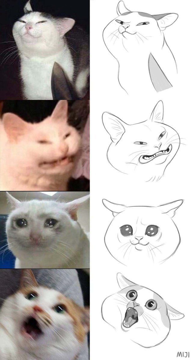 four different pictures of cats with their mouths open