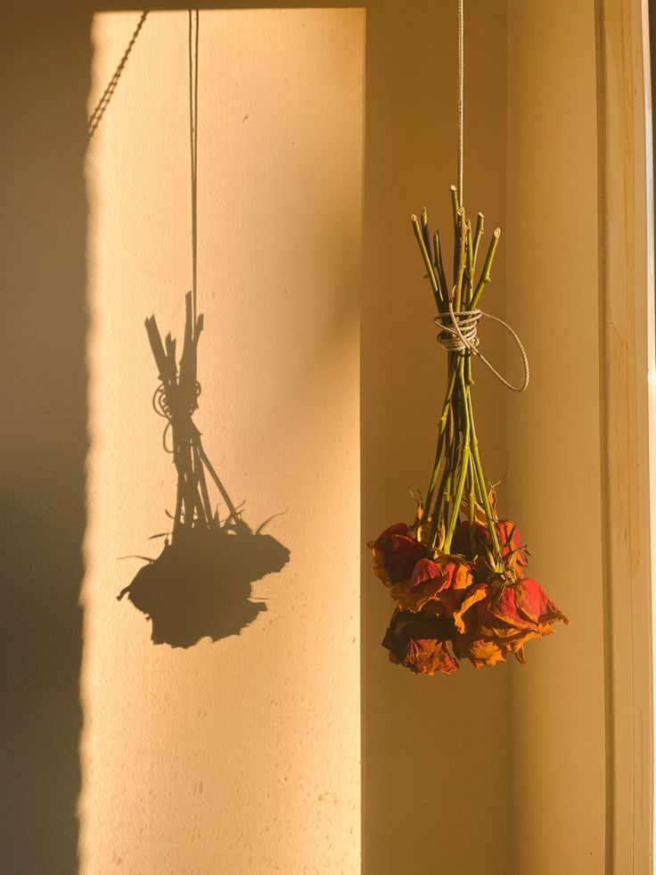 Dry flowers roses sunny by the window light academia romantic love shadow Wall Shadow Aesthetic, Dry Flowers Aesthetic, Dried Flower Aesthetic, Dried Flowers Aesthetic, Love Shadow, Drying Flowers, Window Shadow, Wildflower Photo, Nose Drawing