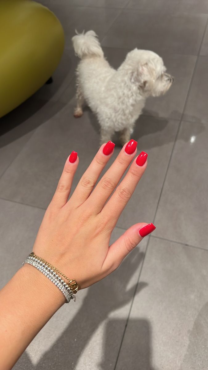 Red Gel Nails Short Square, Candy Red Nails Short, Red Nail 2023, Red Tapered Square Nails Short, Trendy Nails Red Square, Red Builder Gel Nails, Summer Gel Extension Nails, Red Short Nails Square, Red Shirt Square Nails