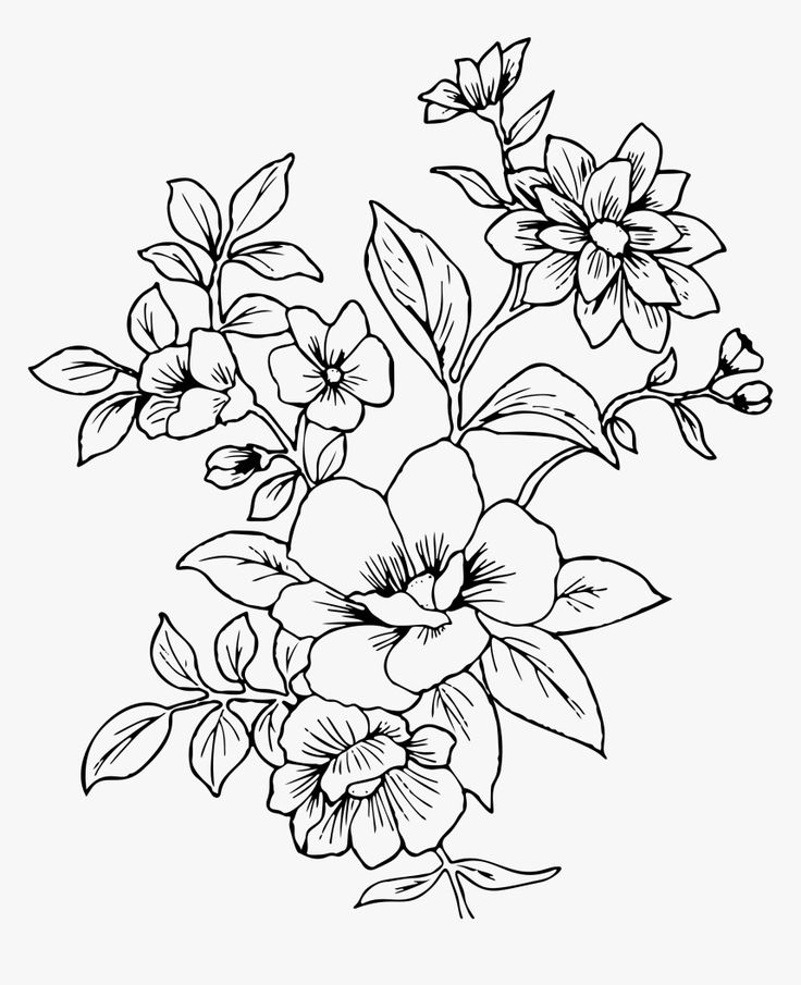 a black and white drawing of flowers with leaves on the stems, in a vase