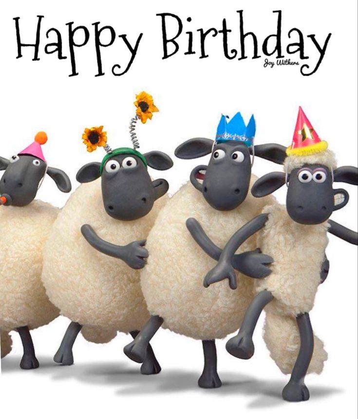 three sheep wearing party hats and holding flowers in front of a happy birthday card with the words happy birthday written on it