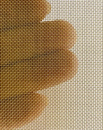 a close up view of an apple through a mesh screen door window with the image of a banana on it