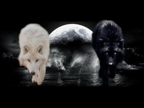 two white wolfs walking in front of a full moon and some water with lightning