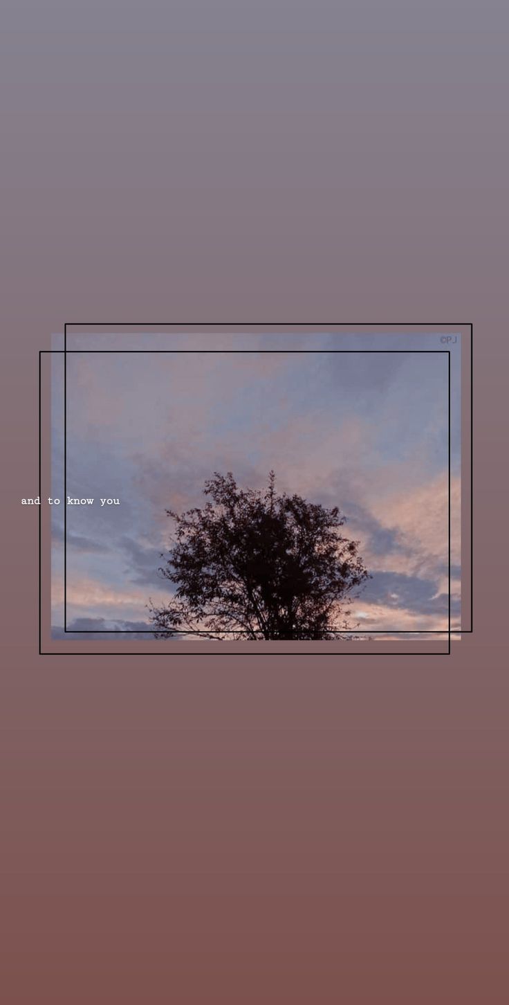 an image of a tree in the middle of a field with sky and clouds behind it