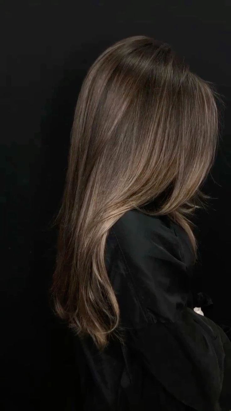 Honey Balayage Brown Hair, Perfect Brunette Hair, Honey Brown Hair On Black Hair, Long Balayage Hair Brunette, Honey Brown Highlights On Black Hair, Brunette Hair Straight, Haircolor 2024 Women, Hair Balayage Black, Autumn Hair Colors For Brunettes